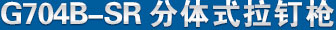 G704B-SR����ʽ����ǹ ��Ʒ����