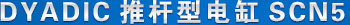 dyadic �Ƹ��͵��scn5 ��Ʒ����